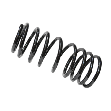 Пружина задня Dacia SupeNova