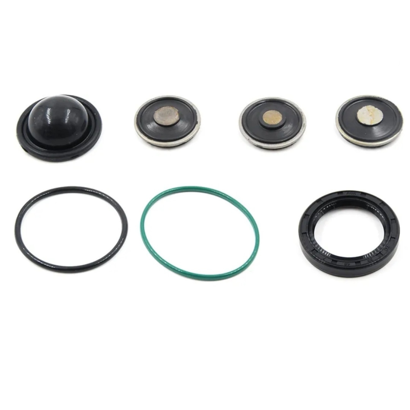 Ремкомплект паливного насоса ТНВД Peugeot 406 2.0 16v ew10d