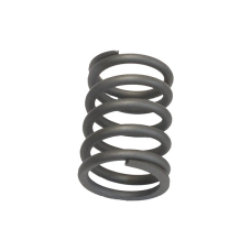 Пружина клапана (велика) Iveco Daily GP ORK4734533