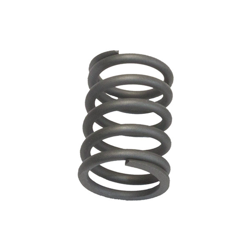 Пружина клапана (велика) Iveco Daily GP ORK4734533