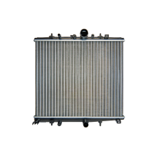 Радіатор 545x465x20 Citroen Jumpy lll 2,0 C8 (1330E7) GP 1330A4