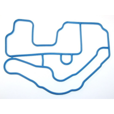 Прокладка термостата Renault Clio III, Duster, Fluence,Kangoo, Megane 2,3, Sandero, Scenic 1.4,1.6 K4M