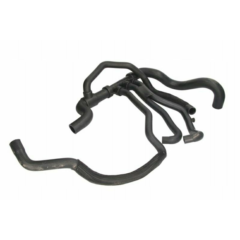 Патрубок оладження радіатора нижній Renault Megane 3 1.9 dci 2008 - Патрубок оладження радіатора нижній Renault Megane 3 1.9 dci 2008 -