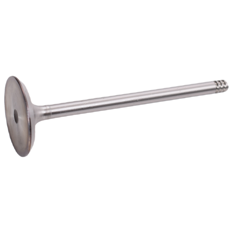 Клапан двигуна впускний Renault Kangoo 1 1997 — 2008 1.5dci K9K Клапан двигуна впускний Renault Kangoo 1 1997 — 2008 1.5dci K9K